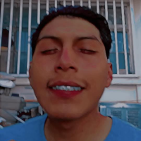 elvergudo77 Avatar